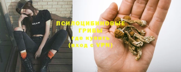 дживик Алексеевка