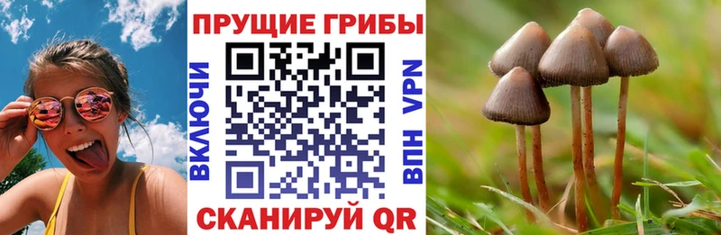 Псилоцибиновые грибы прущие грибы  Магадан 